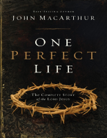 One perfect Life (1).epub